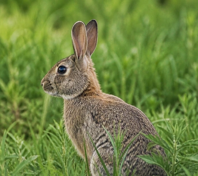 How to Teach an Easter Music Lesson Without Losing the Room